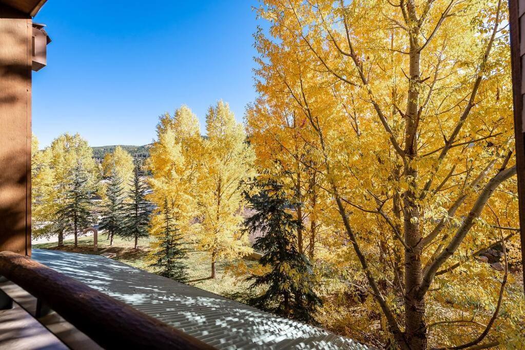 Ski-In/Ski-Out Zephyr 1 Bedroom Condo Winter Park Exterior foto